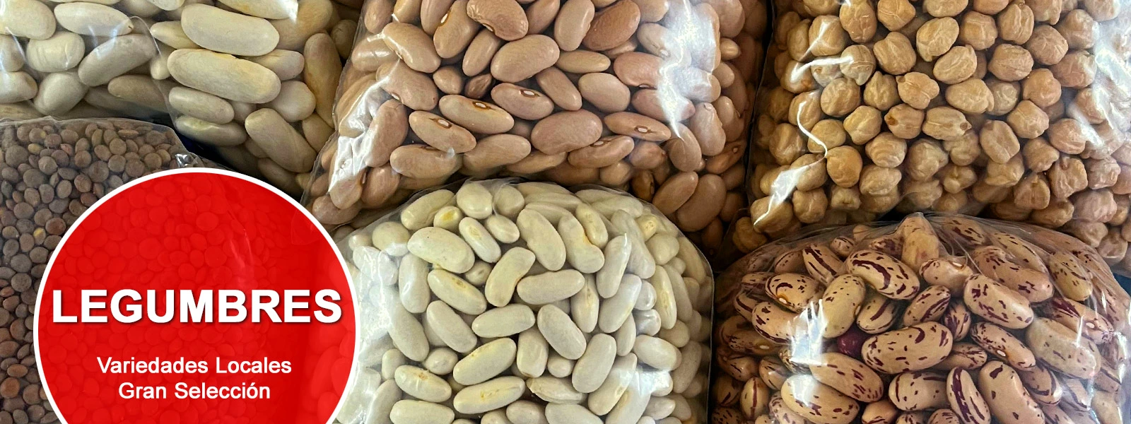 Legumbres en Villaobispo - León