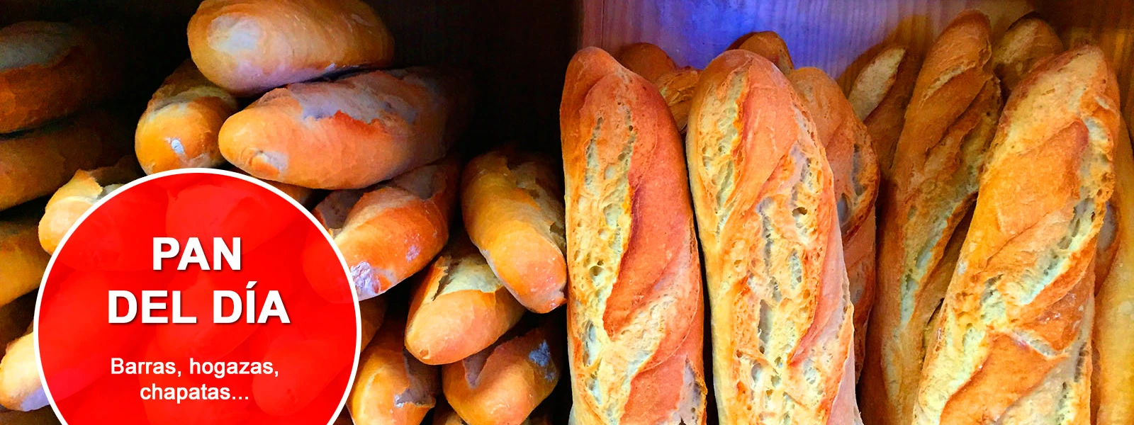 Panadería en Villaobispo - León