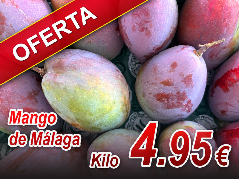 Ofertas en Alimentación Yolanda
